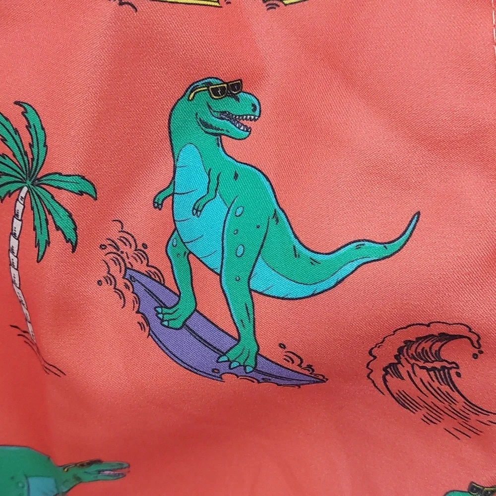 Burnside Boys Size Small Swim Trunks Shorts Coral Dinosaur Surfing Ocean